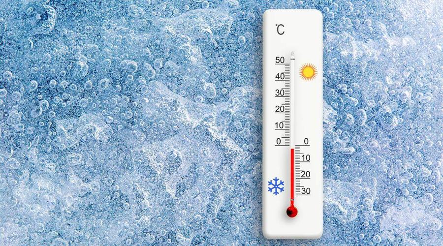 Ottimizzare la catena del freddo: sicurezza e qualità alimentare garantite