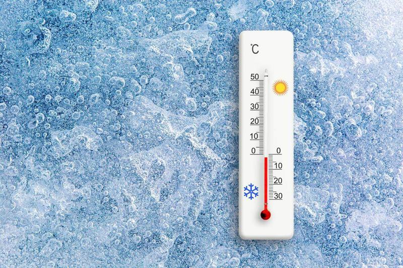 Ottimizzare la catena del freddo: sicurezza e qualità alimentare garantite