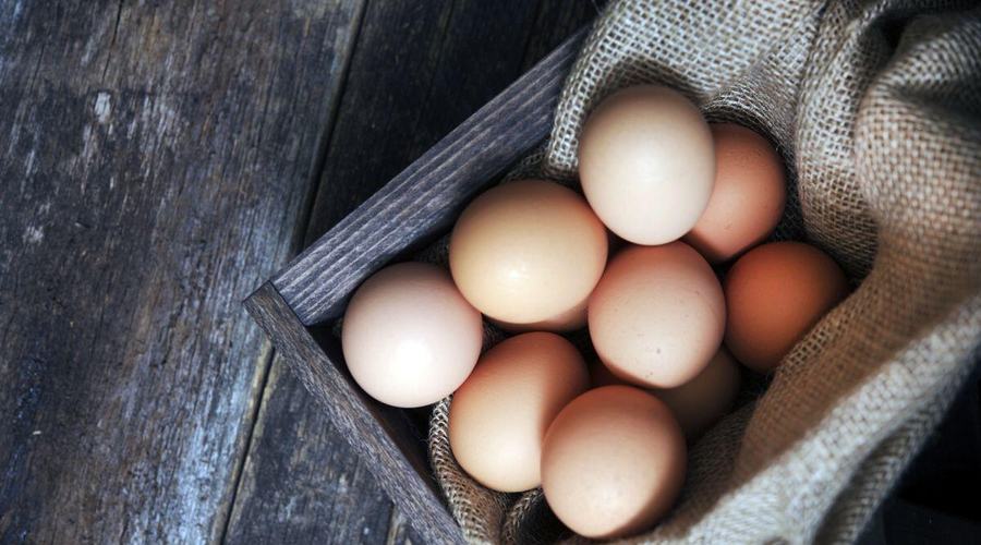 Come Conservare le Uova Fresche in Sicurezza: Guida HACCP Completa