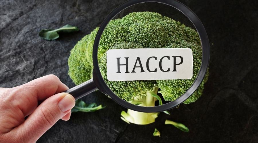 Corso di Aggiornamento HACCP: modalità e scadenze