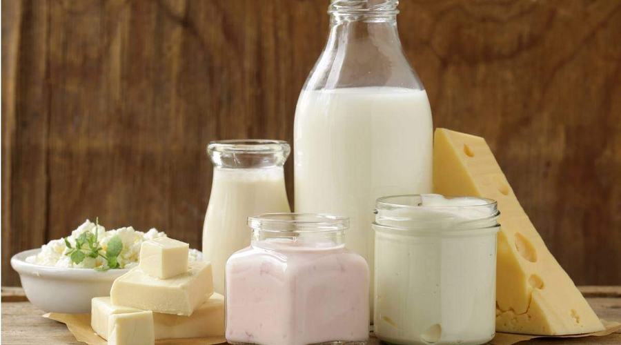 HACCP nella filiera del latte: dalla mungitura alla vendita, tutti i controlli necessari per i prodotti caseari