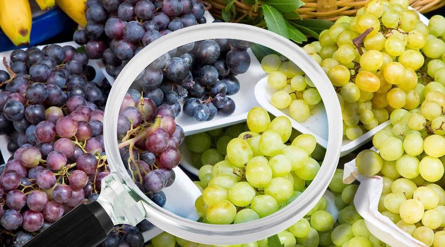 Corsi HACCP: come ottenere la certificazione per la gestione della sicurezza alimentare